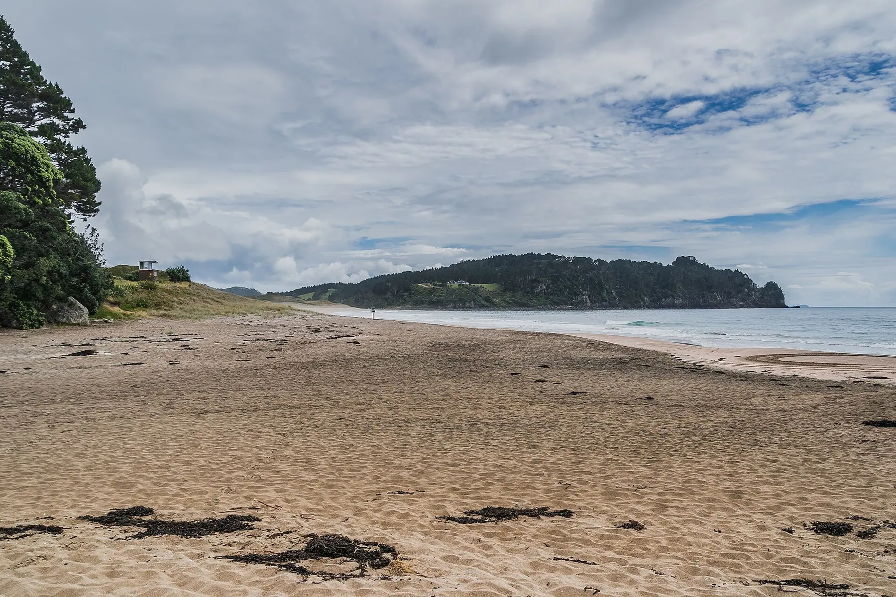 Bathers digging thermal pools in the sand at Hot Water Beach