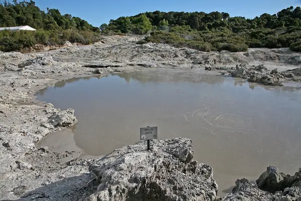 Steaming ground at the Tikitere geothermal field, Hell's Gate