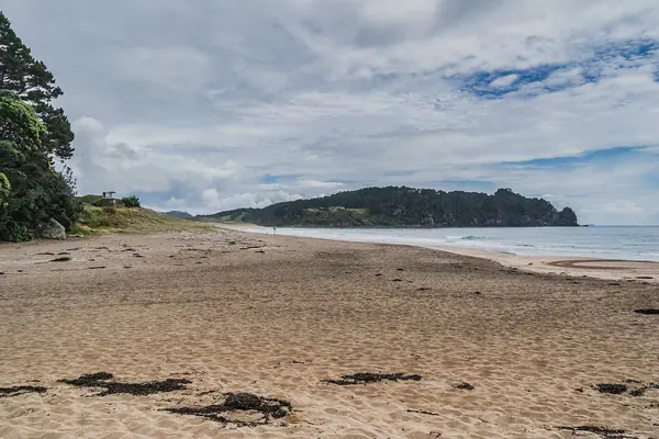 Bathers digging thermal pools in the sand at Hot Water Beach