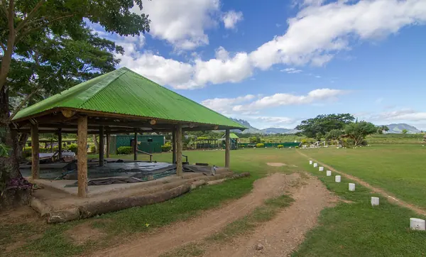 Geothermal pools at Sabeto Hot Springs and Mud Pool near Nadi, Fiji