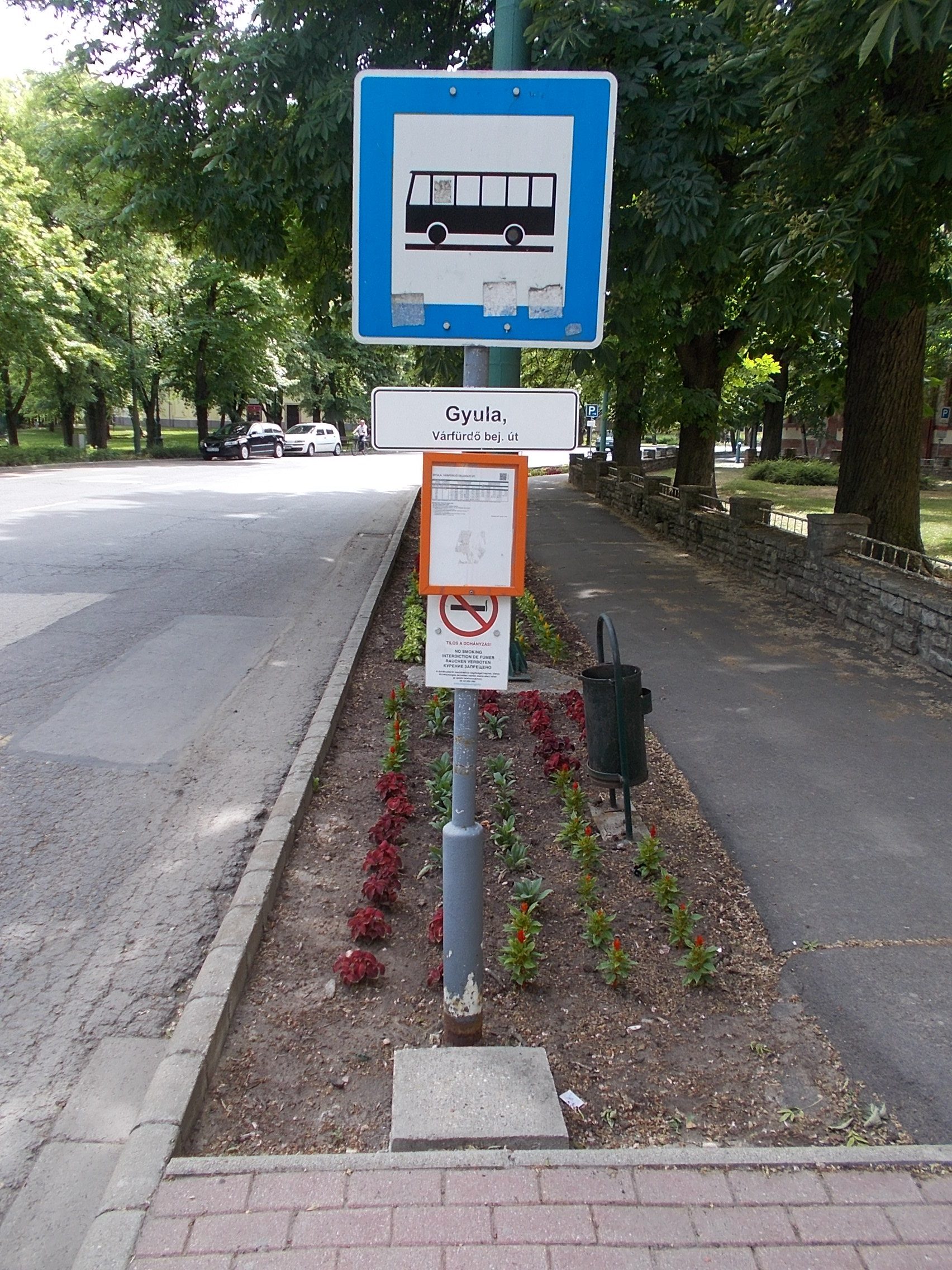 Entrance avenue to the Castle Bath in Gyula